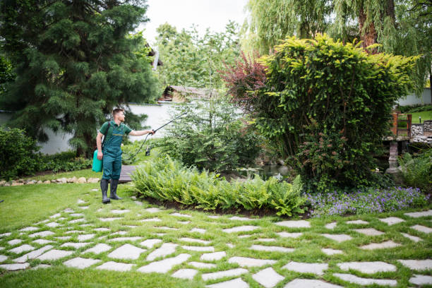 Best Residential Pest Control  in Fairlawn, VA