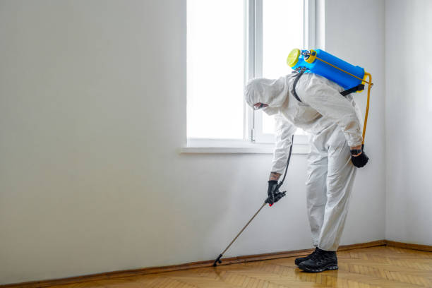 Best Pest Control for Restaurants  in Fairlawn, VA