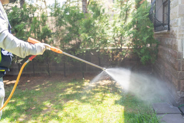 Best Pest Control Near Me in Fairlawn, VA