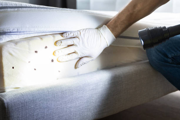 Best Pest Control Near Me  in Fairlawn, VA